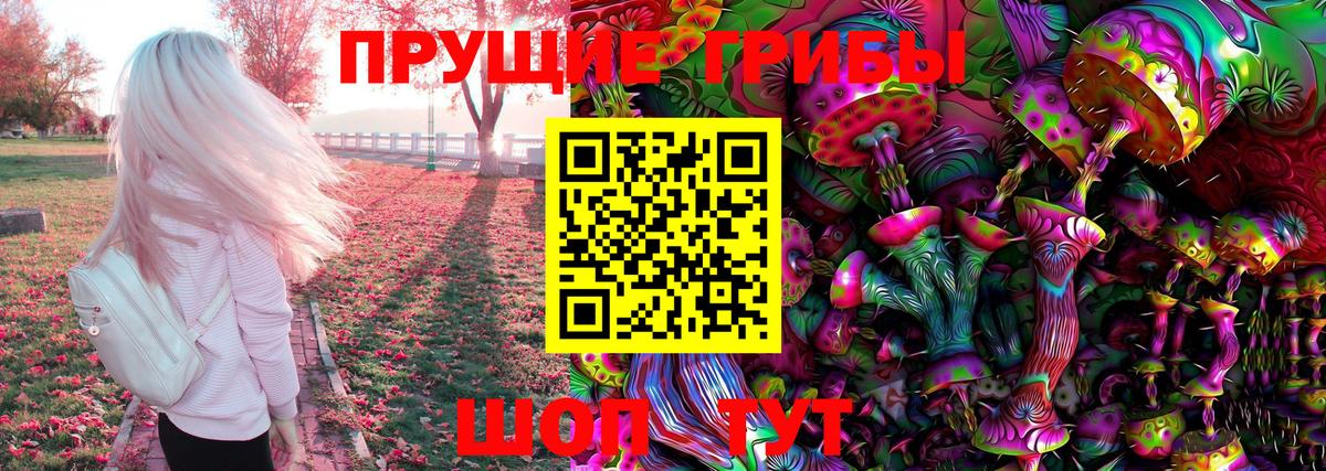 Псилоцибиновые грибы Magic Shrooms  Вход с VPN  Елизово  Псилоцибиновые грибы прущие грибы 